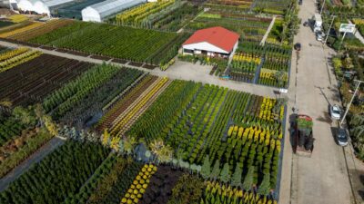 Salon du Jardin et Fête des Plantes de Nancy-Brabois : ce que propose ce premier rendez-vous d&rsquo;automne