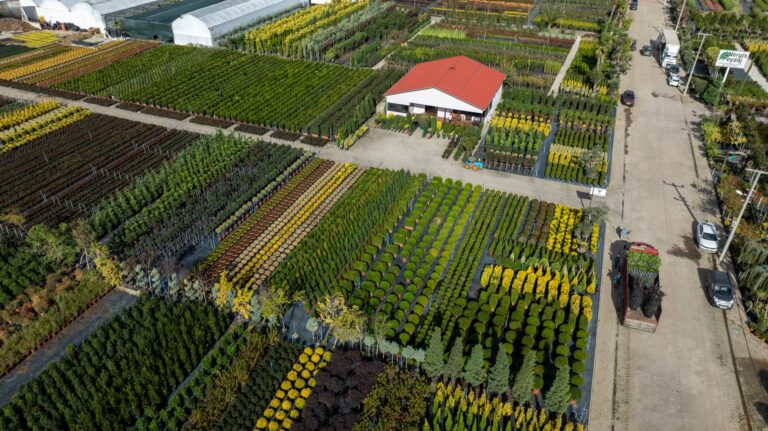Salon du Jardin et Fête des Plantes de Nancy-Brabois : ce que propose ce premier rendez-vous d&rsquo;automne