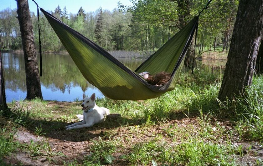Hamac hamac de camping